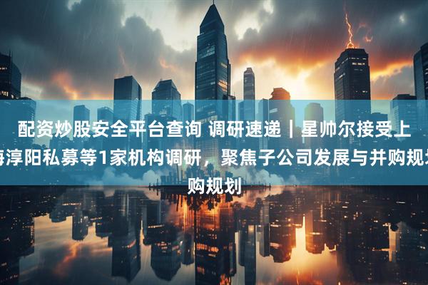 配资炒股安全平台查询 调研速递｜星帅尔接受上海淳阳私募等1家机构调研，聚焦子公司发展与并购规划