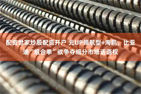配资世家炒股配资开户 元UP领航型+海鸥，比亚迪“组合拳”欲争夺细分市场话语权
