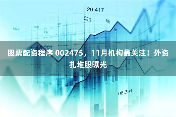 股票配资程序 002475，11月机构最关注！外资扎堆股曝光