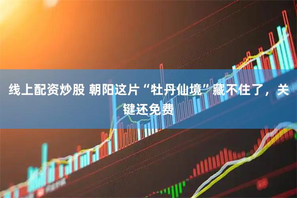 线上配资炒股 朝阳这片“牡丹仙境”藏不住了，关键还免费